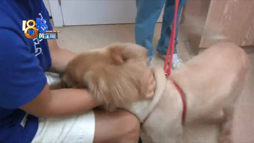 DƬ